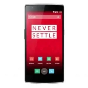 OnePlus One (1)